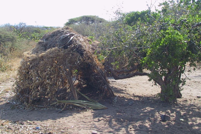 hadza